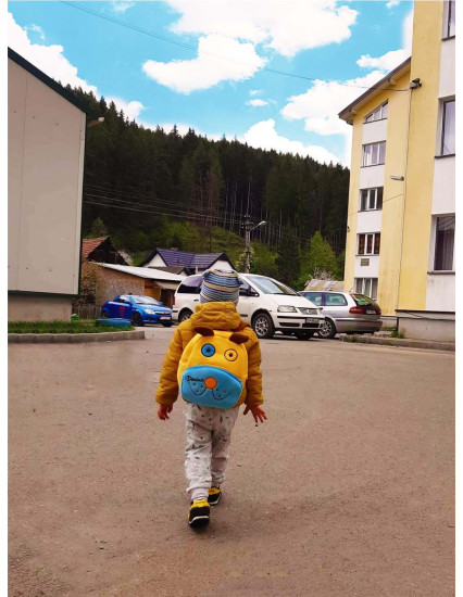 Ghiozdan personalizat baietel Catel