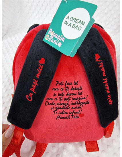 Ghiozdan personalizat fetita Buburuza