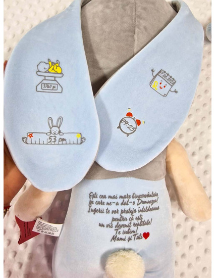 Papusa personalizata baietel Iepur XL